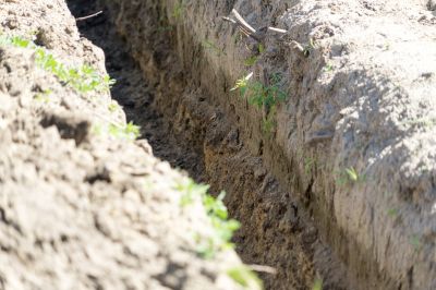 Independent Electricians